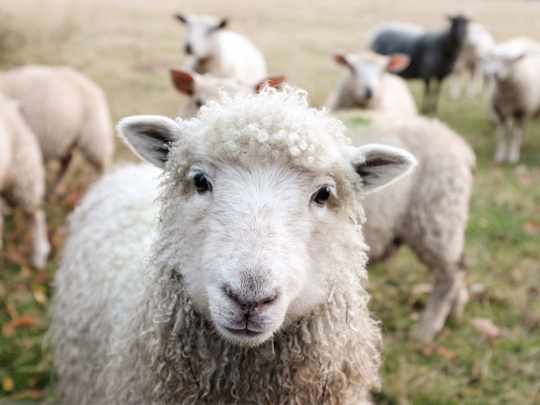 https://backend-files.fra1.digitaloceanspaces.com/courses/images/3263/cover.image/jpeg