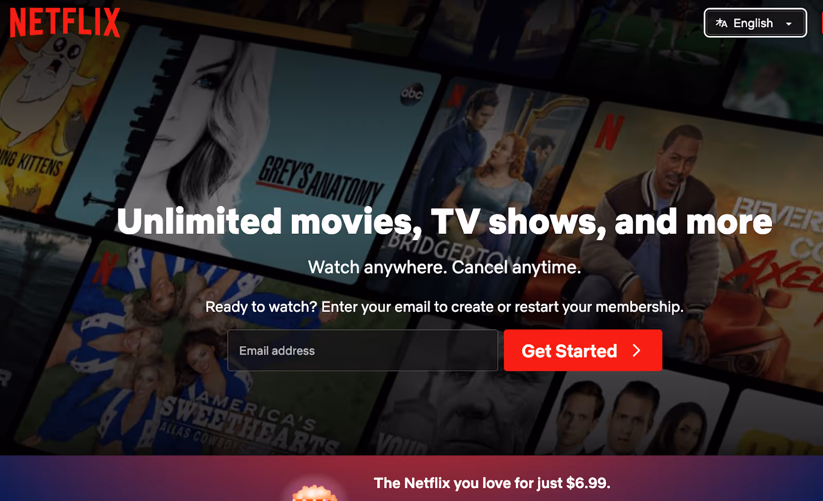 Netflix Website