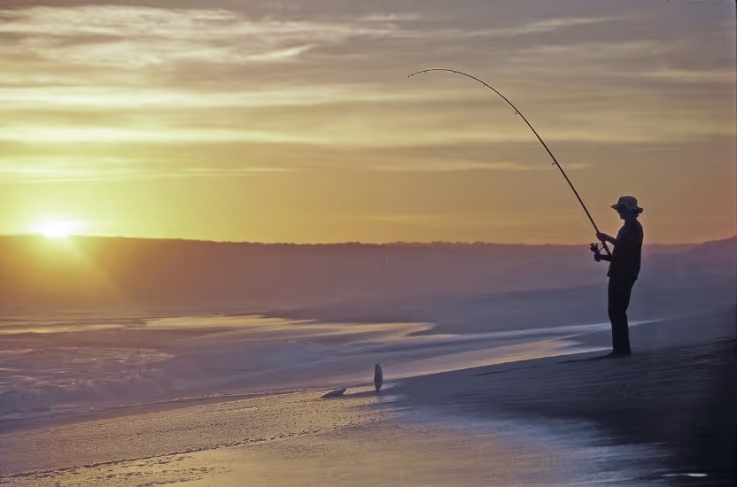 Summer Activities: sea fishing