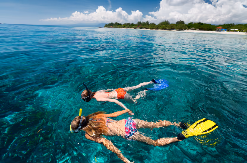 Summer Activities: snorkeling