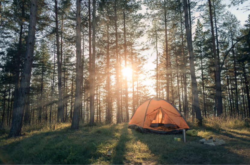 Autumn Activities: Camping (Tents in the woods)