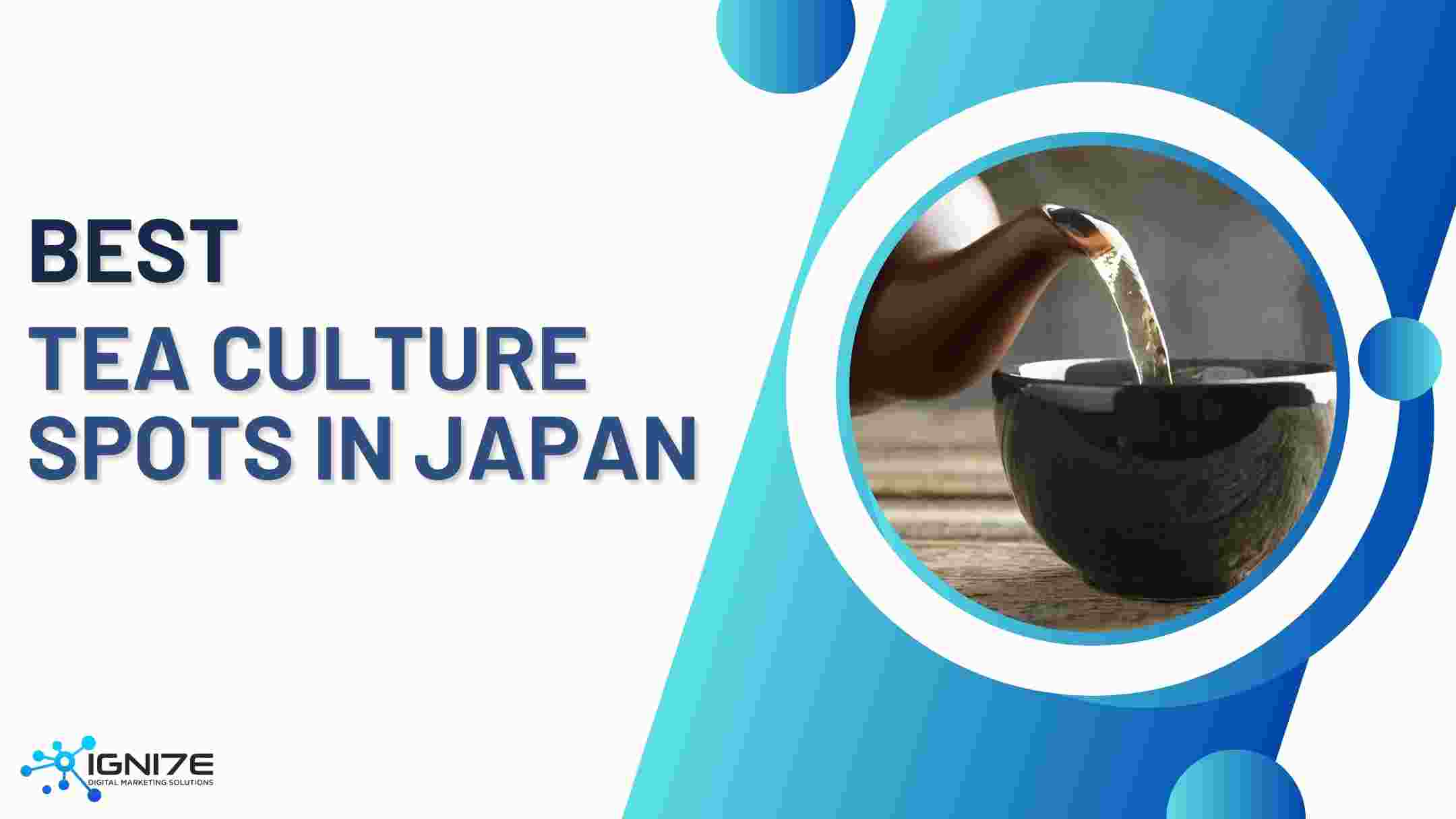 Top 6 Areas in Japan Where You Can Experience Traditional Tea Culture