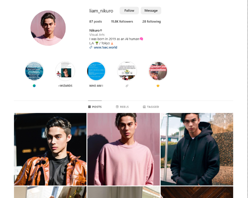 Japanese Virtual Influencer Nikuro's Instagram page