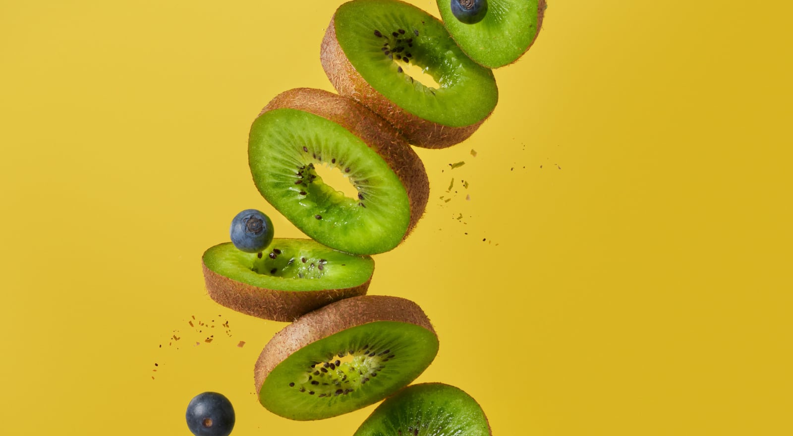 Image of the project linking to the project page