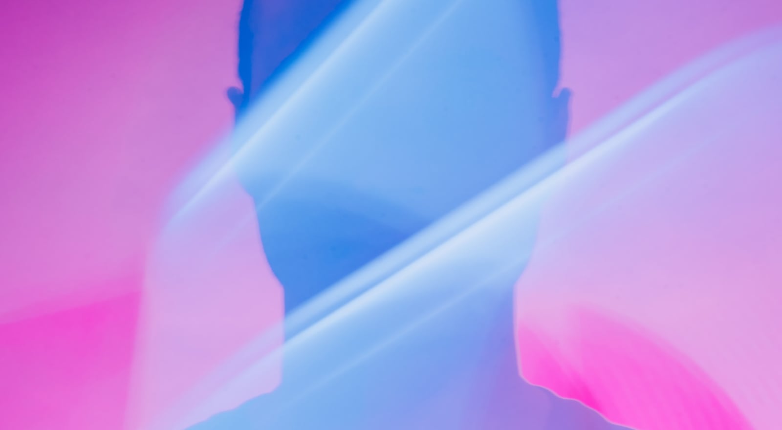 Image of the project linking to the project page