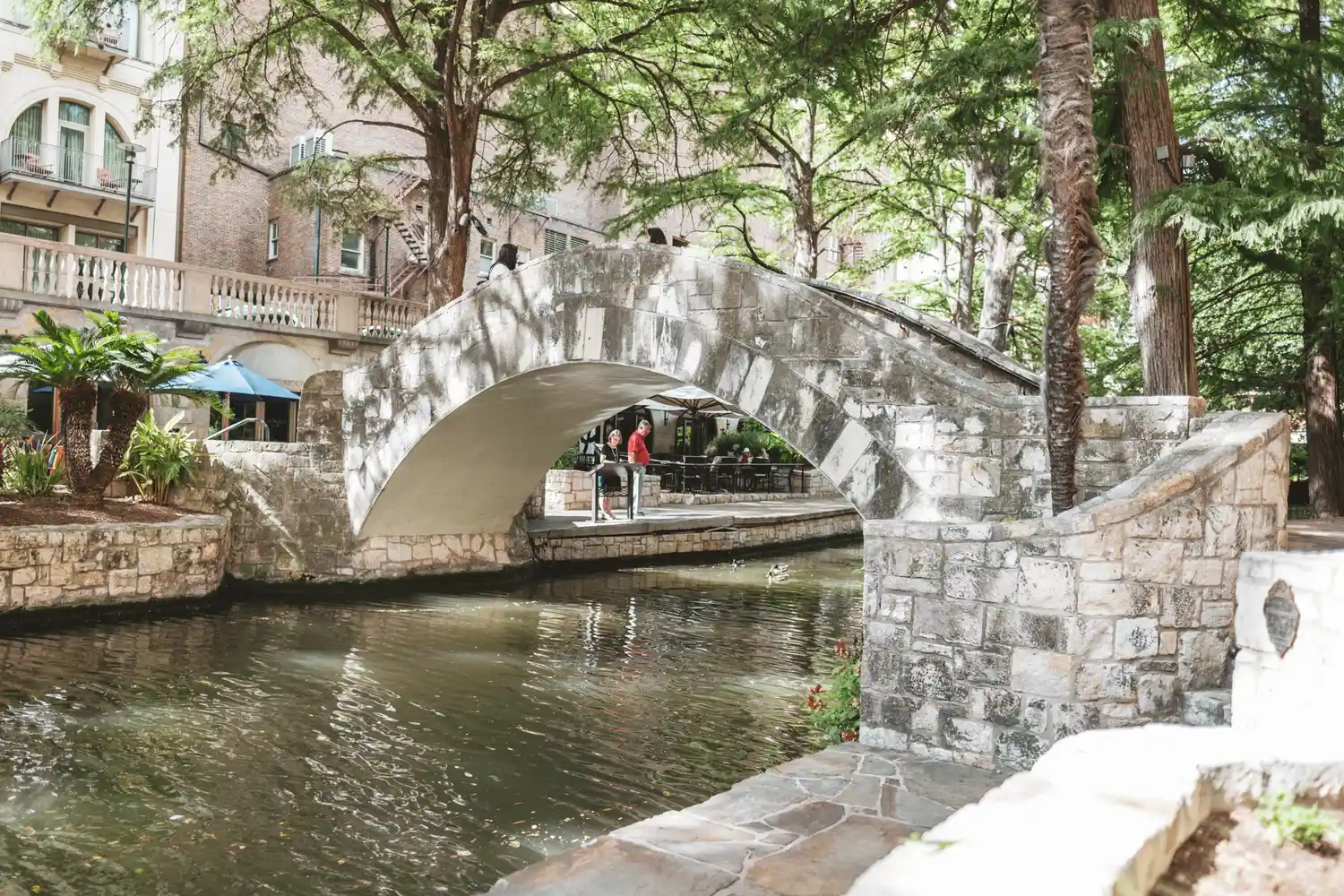 A stone bridge arching over a canal with trees surrounding it