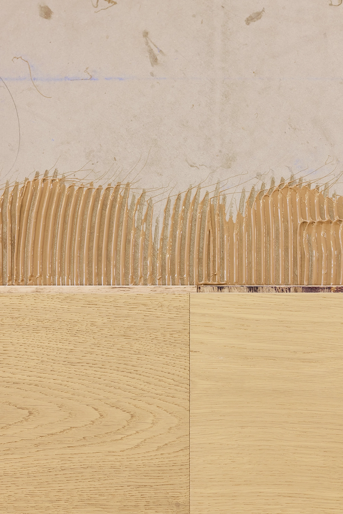 Close-up of TRUNK Kova plank timber flooring NZ installation detail and warm grain, Rawhiti Residence, VidaSpace