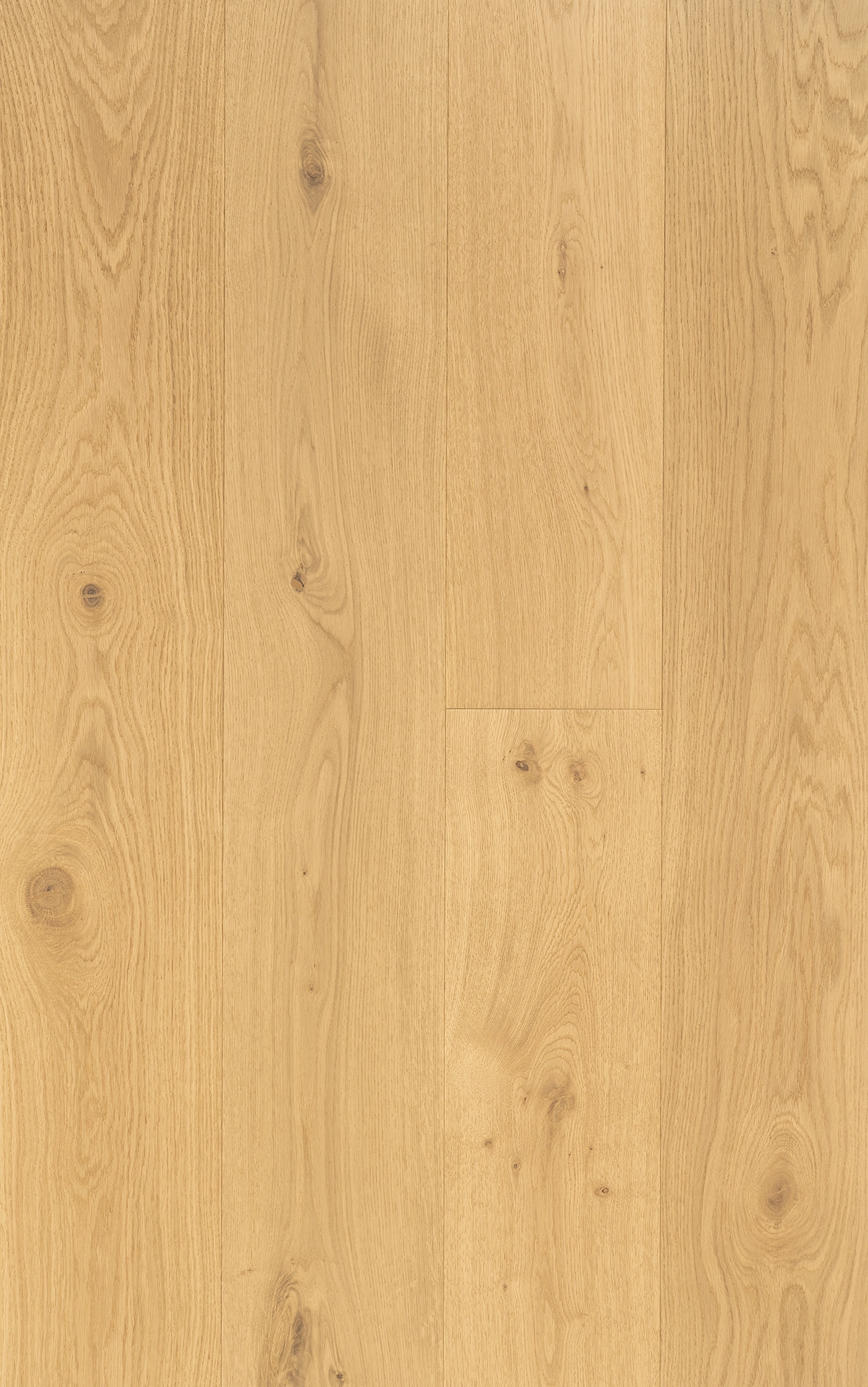 TRUNK OSKA - VidaSpace NZ | Timber Flooring