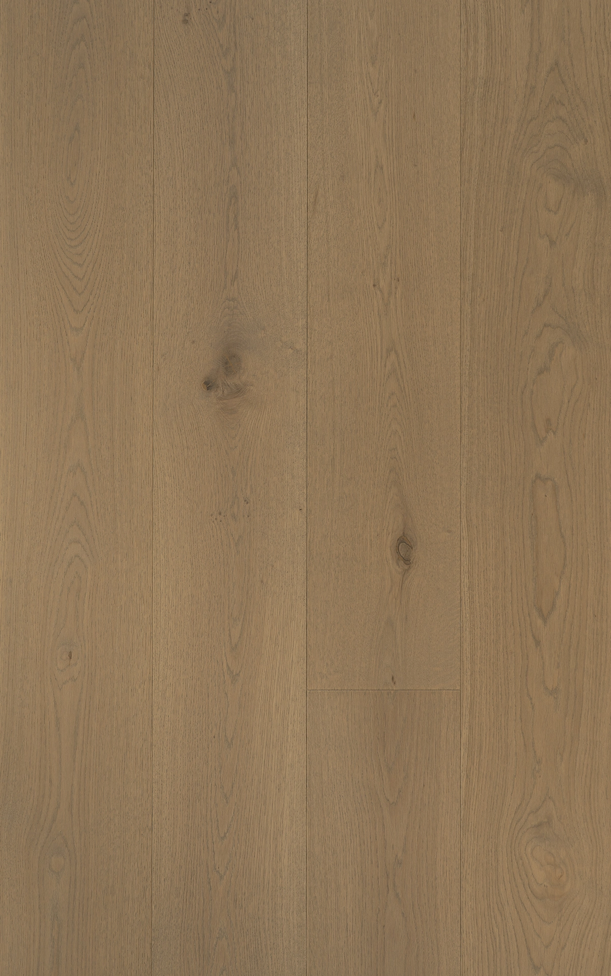 TRUNK Axel - VidaSpace NZ | Timber Flooring
