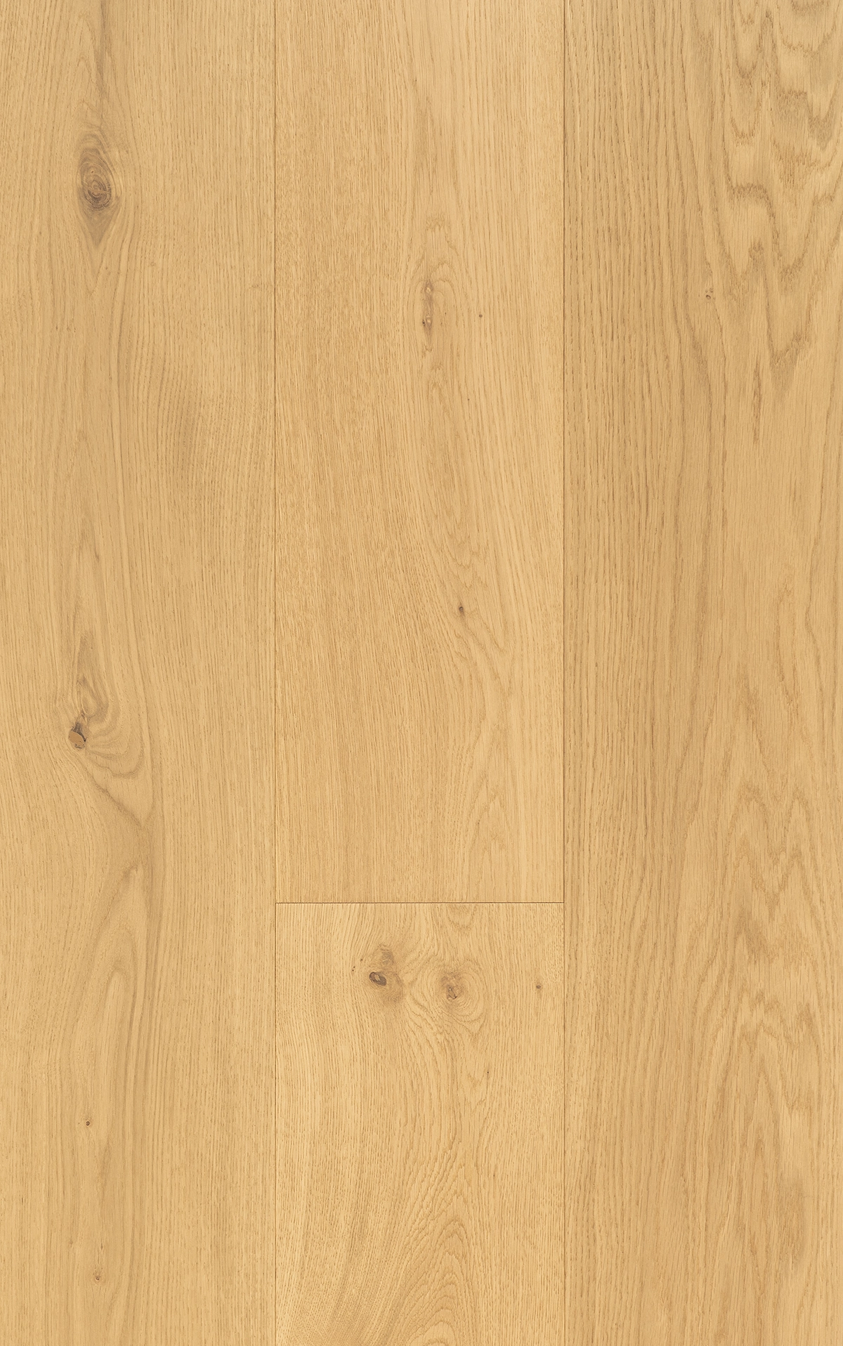 TRUNK OSKA Wide - VidaSpace NZ | Timber Flooring