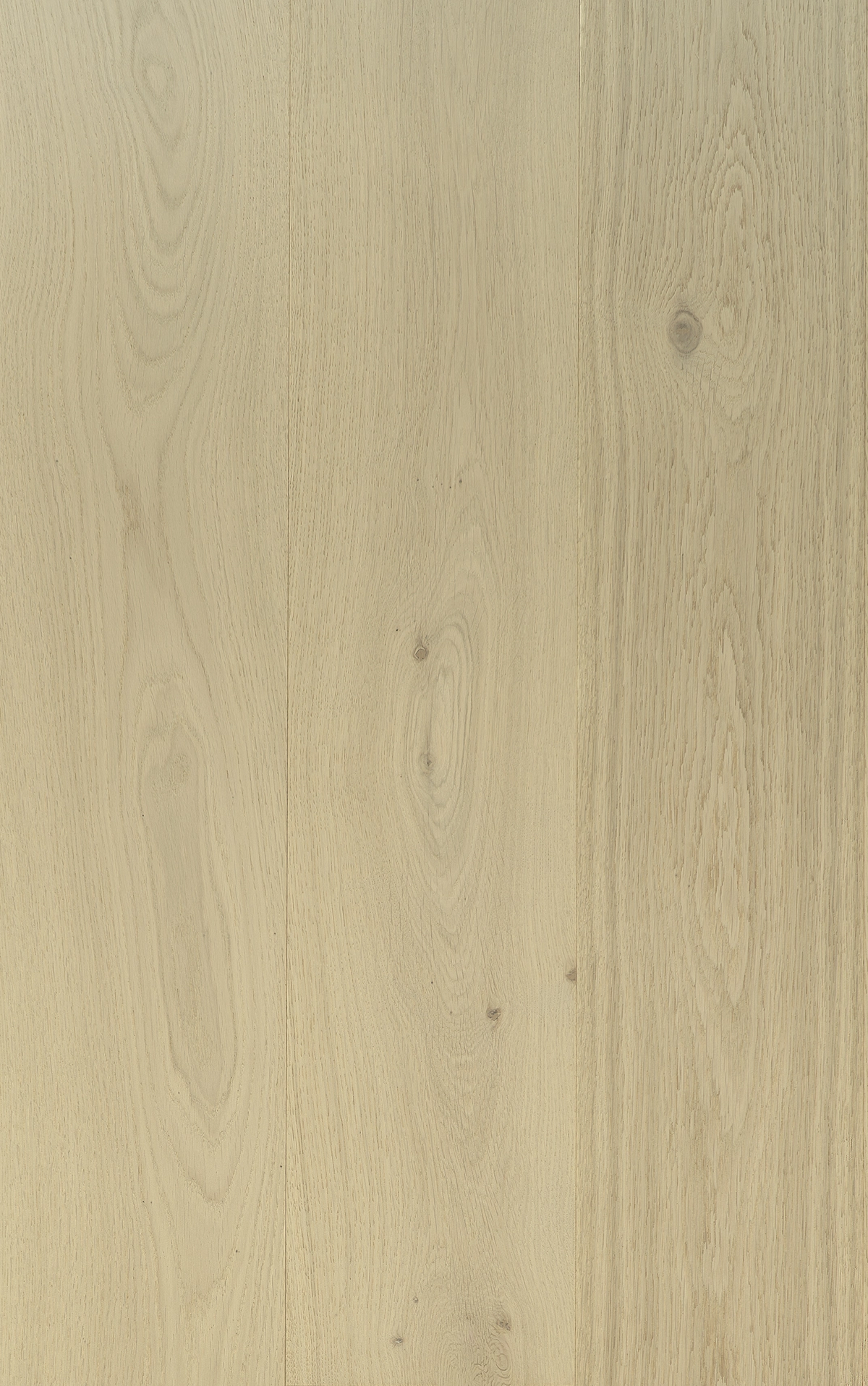 TRUNK ZILA Wide - VidaSpace NZ | Timber Flooring