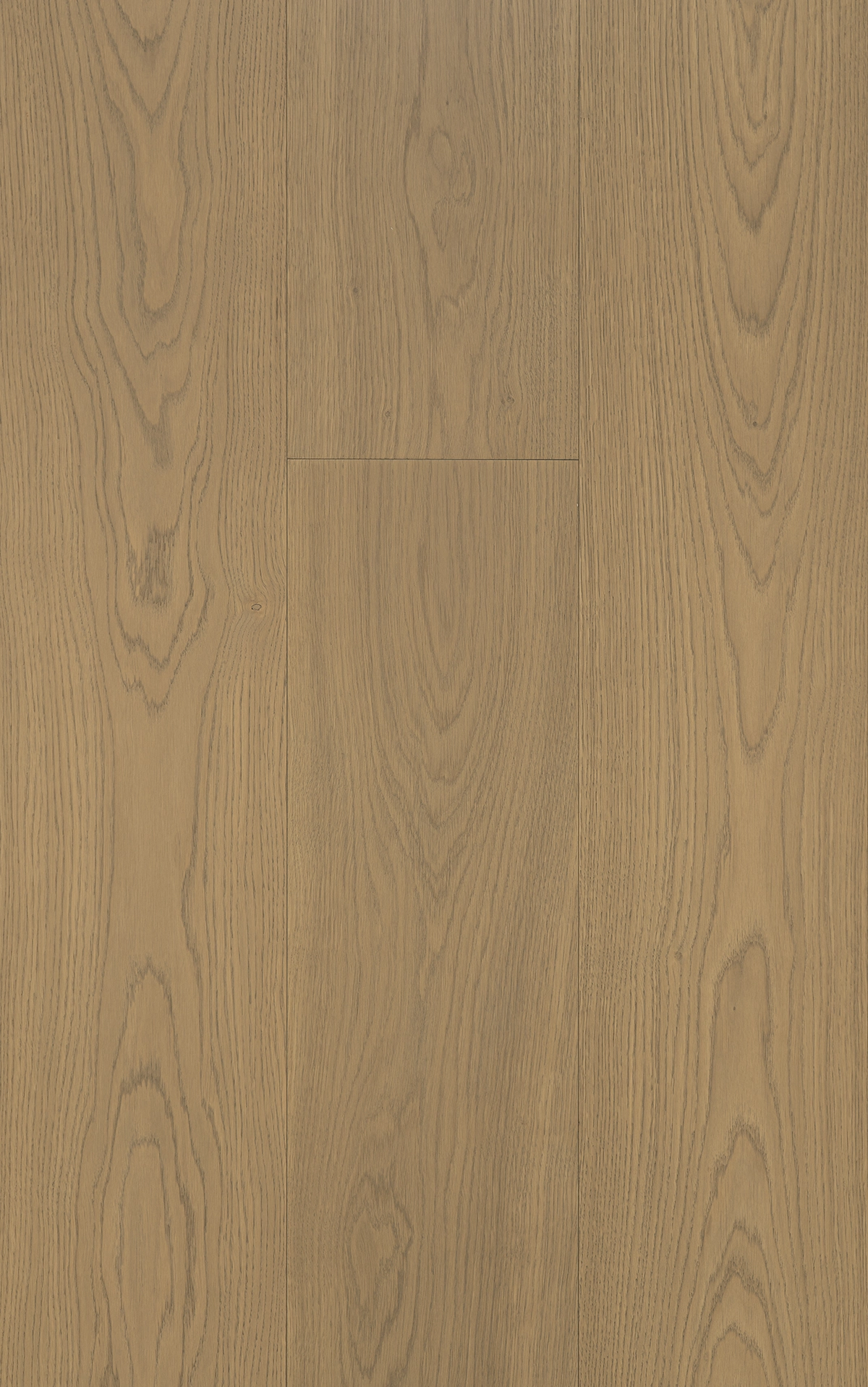 TRUNK Axel Wide - VidaSpace NZ | Timber Flooring