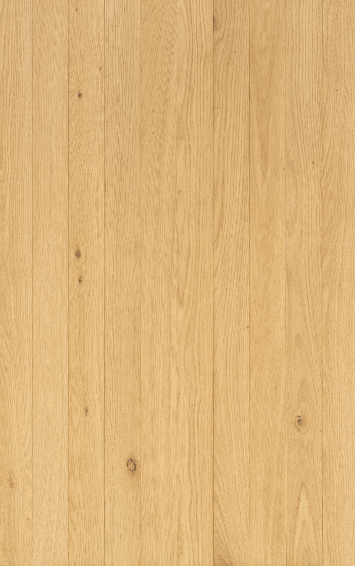 TRUNK OSKA Slim - VidaSpace NZ | Timber Flooring