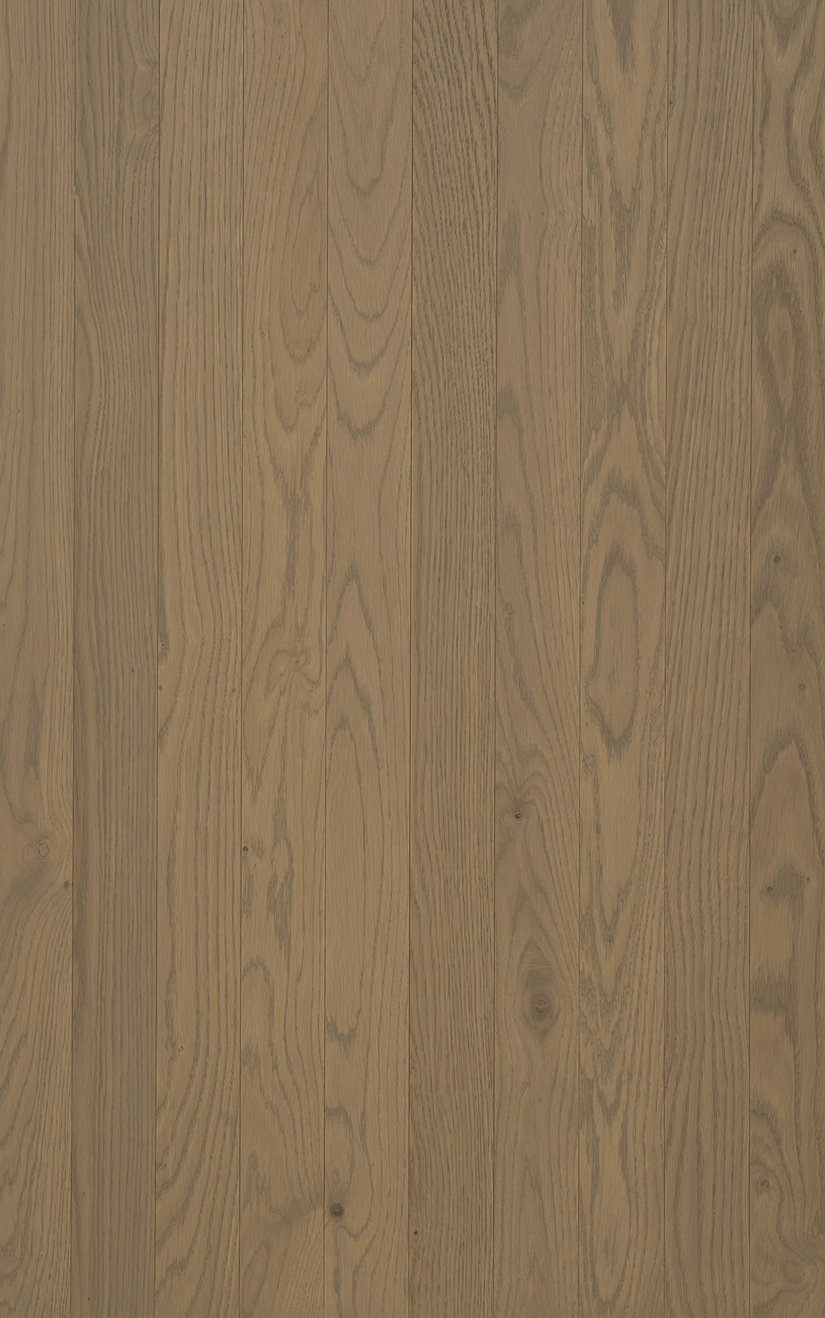TRUNK Axel Slim - VidaSpace NZ | Timber Flooring