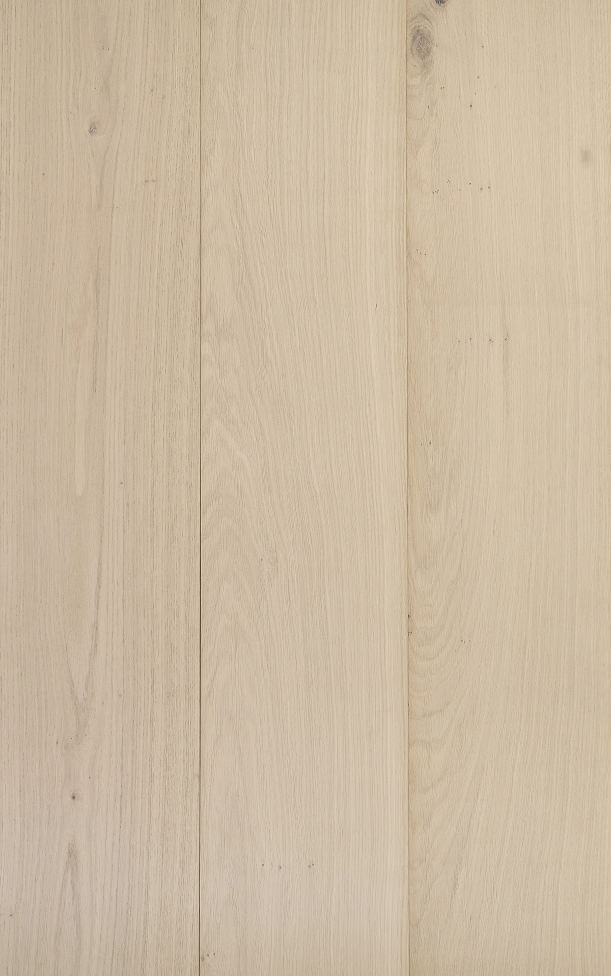ELZA wide plank timber flooring NZ