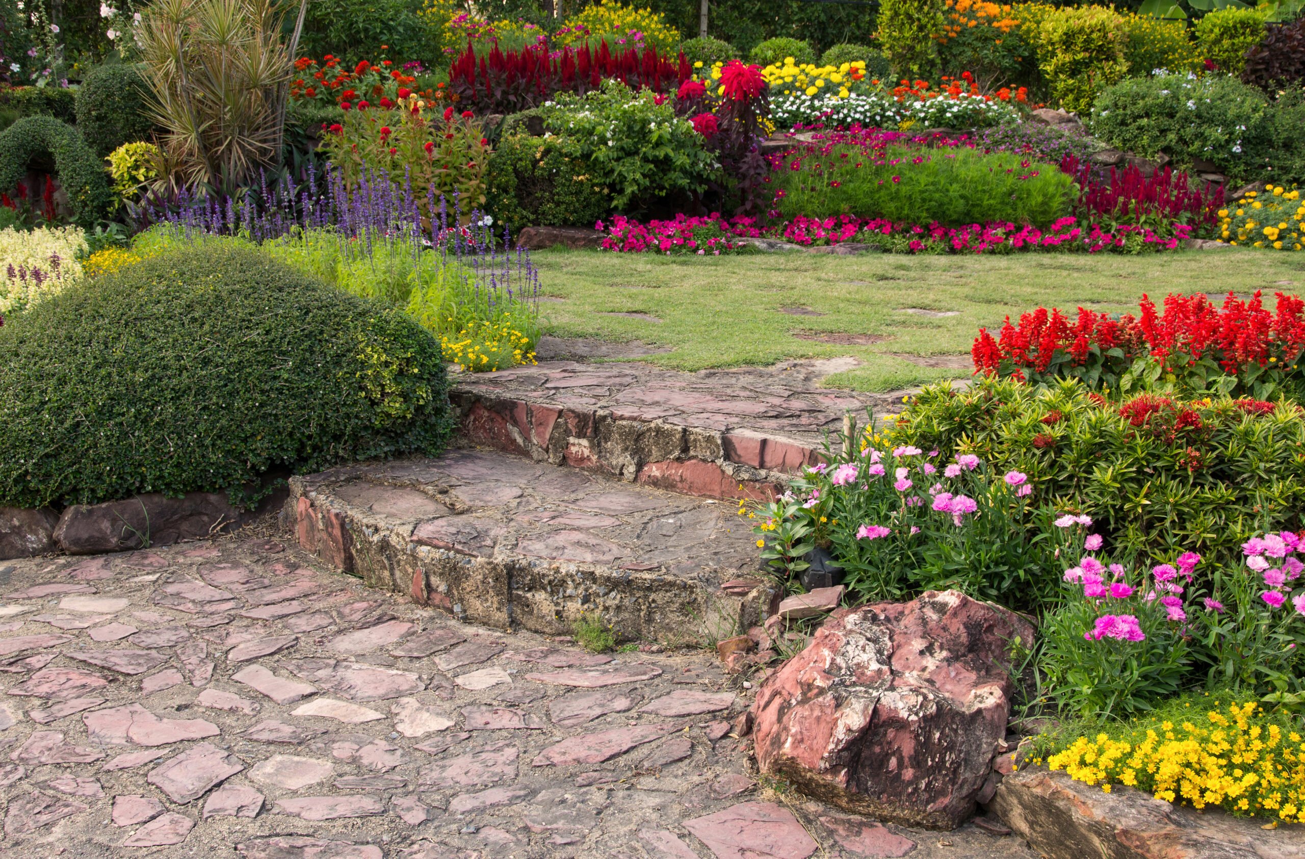 Lawn care and landscaping business