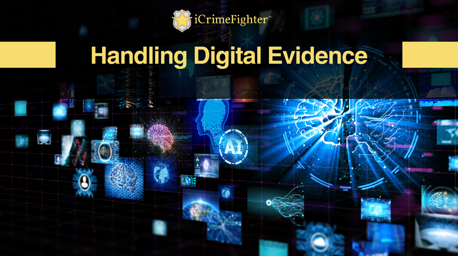 Handling Digital Evidence