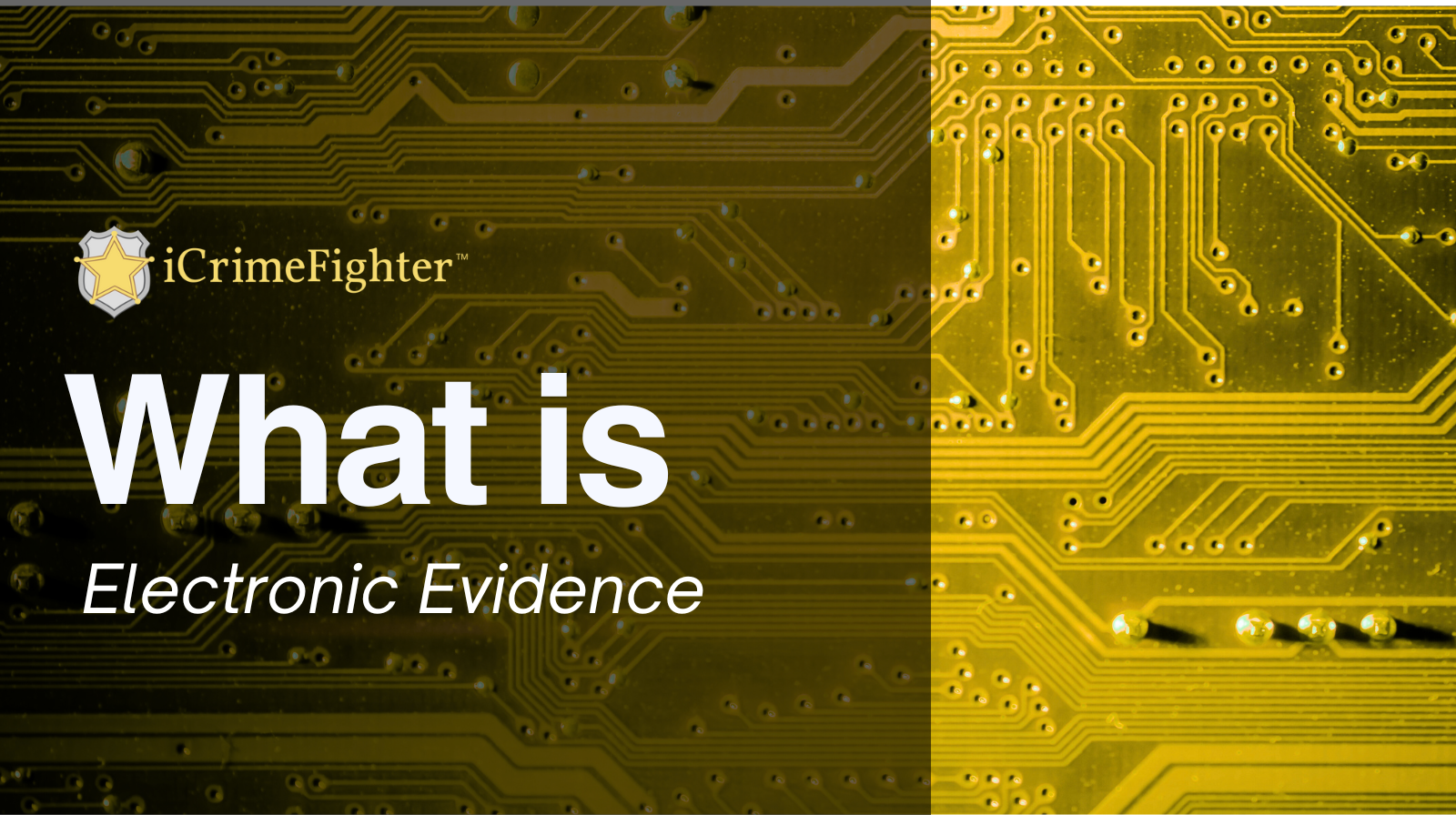 What is Electronic Evidence