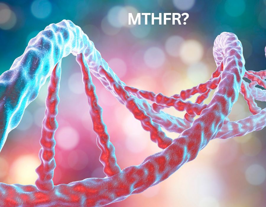 mthfr gene glutathione and Methyl-Life Supplements MTHFR and glutathione's role in