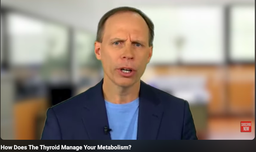 Dr Stenger discusses How Does The Thyroid Manage Your Metabolism?