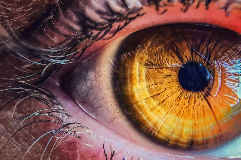 Extreme close-up of a human eye with a golden iris and dark eyelashes.