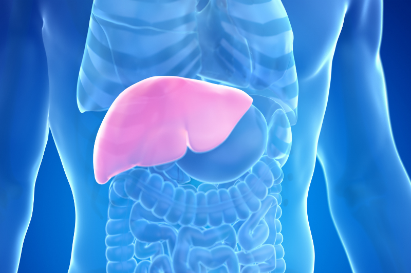 Nutritional Therapies for Fatty Liver Disease