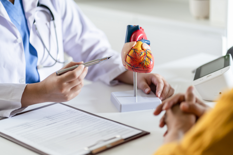 A doctor points to a model of a heart while explaining something to a patient, with a medical chart and a blood pressure monitor on the table.