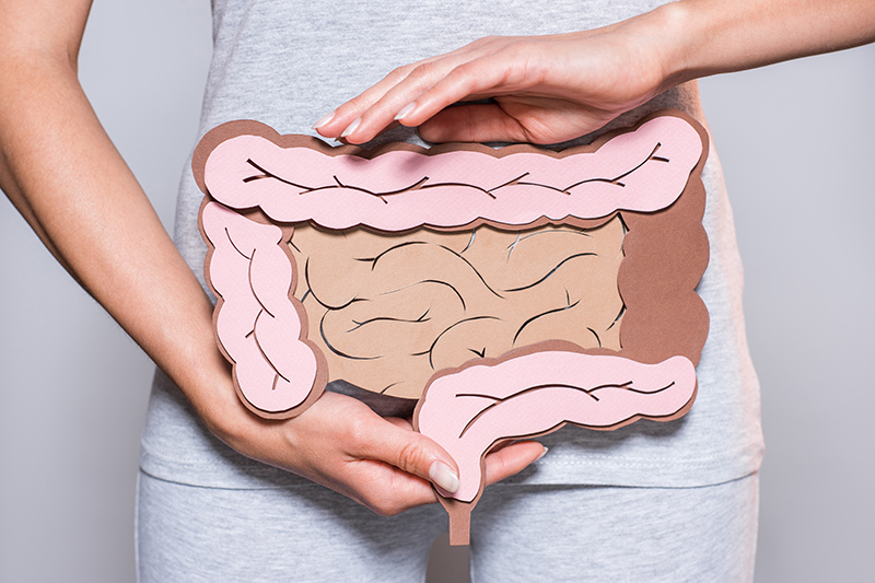 Leaky Gut and Autoimmune Disease: What New Research Is Showing