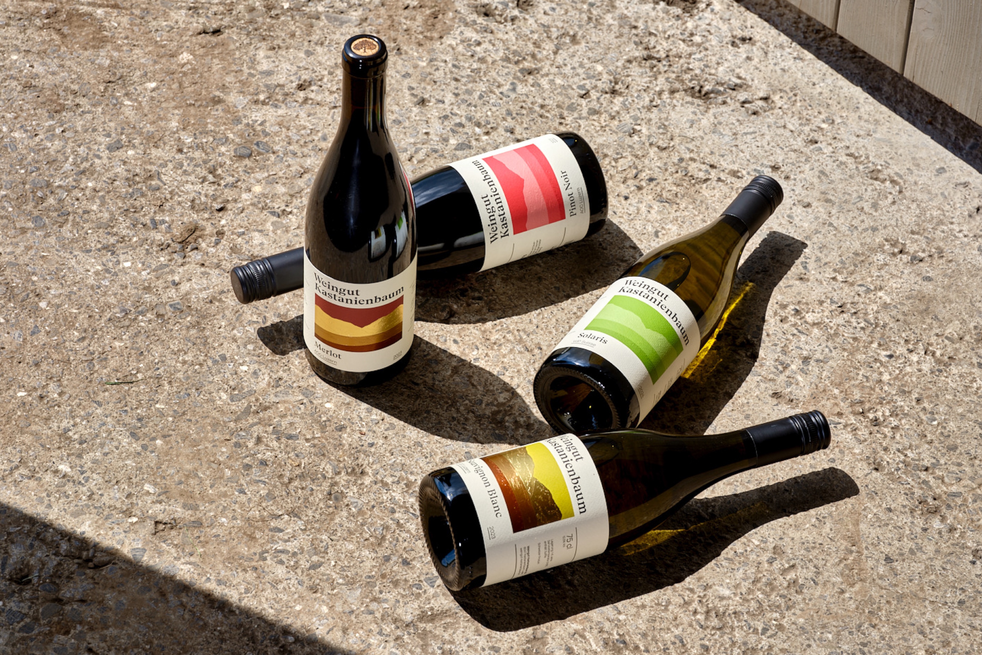 Branding, Packaging & Web für das Weingut Kastanienbaum: Inspiriert vom Ort, getragen vom Baum. Ein Design mit Wurzeln und Weitblick.