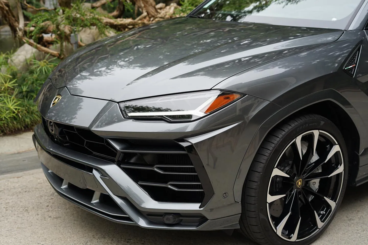 Paint Protection Film (PPF)