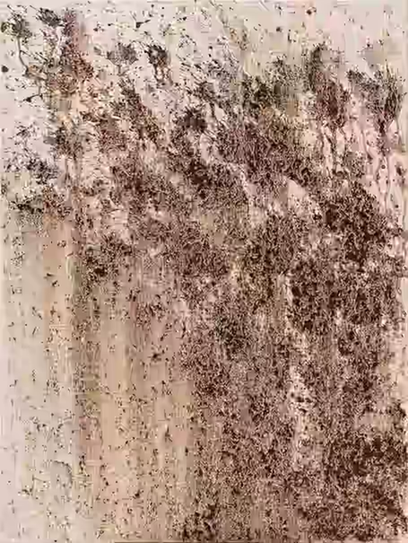 A sublime exploration of the kinetic tension between tire and terrain, 'Tired' beckons viewers to ponder the transient nature of the Canyon AT4X ripping through a puddle of mud in the middle of nowhere.