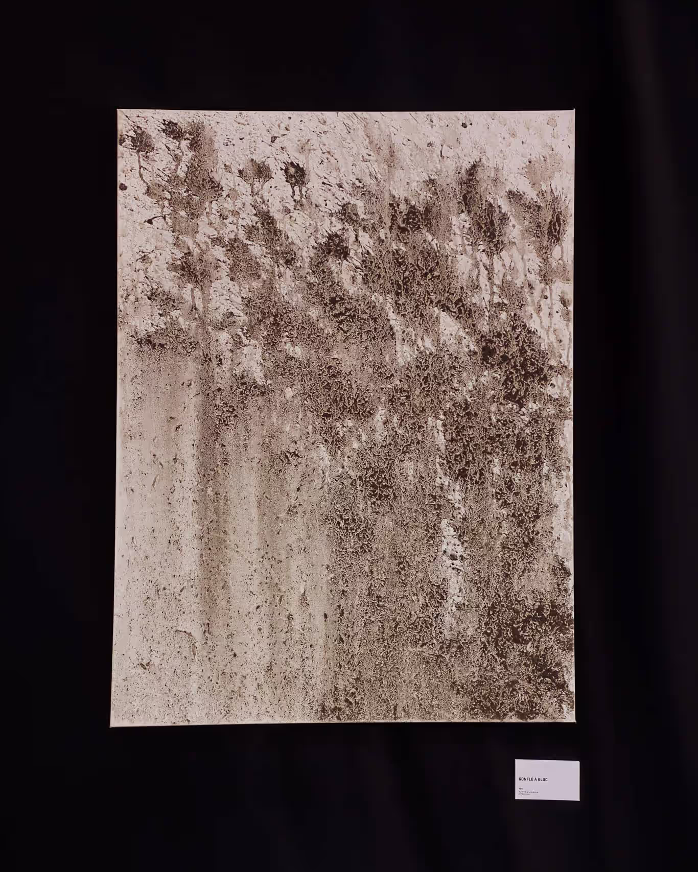 An abstract painting on a black background, predominantly beige with irregular dark brown marks and streaks. The textured surface gives the work depth and a sense of movement. A small white label is visible in the lower right corner.