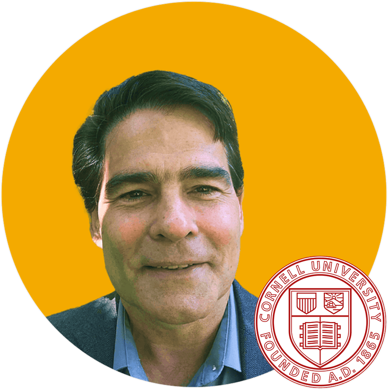 Indigo Research Intensive Seasonal Program IRIS | Indigo Research