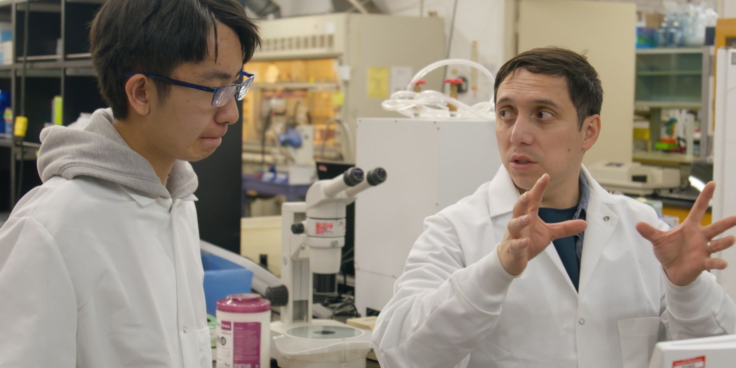 A photo of the labolatory