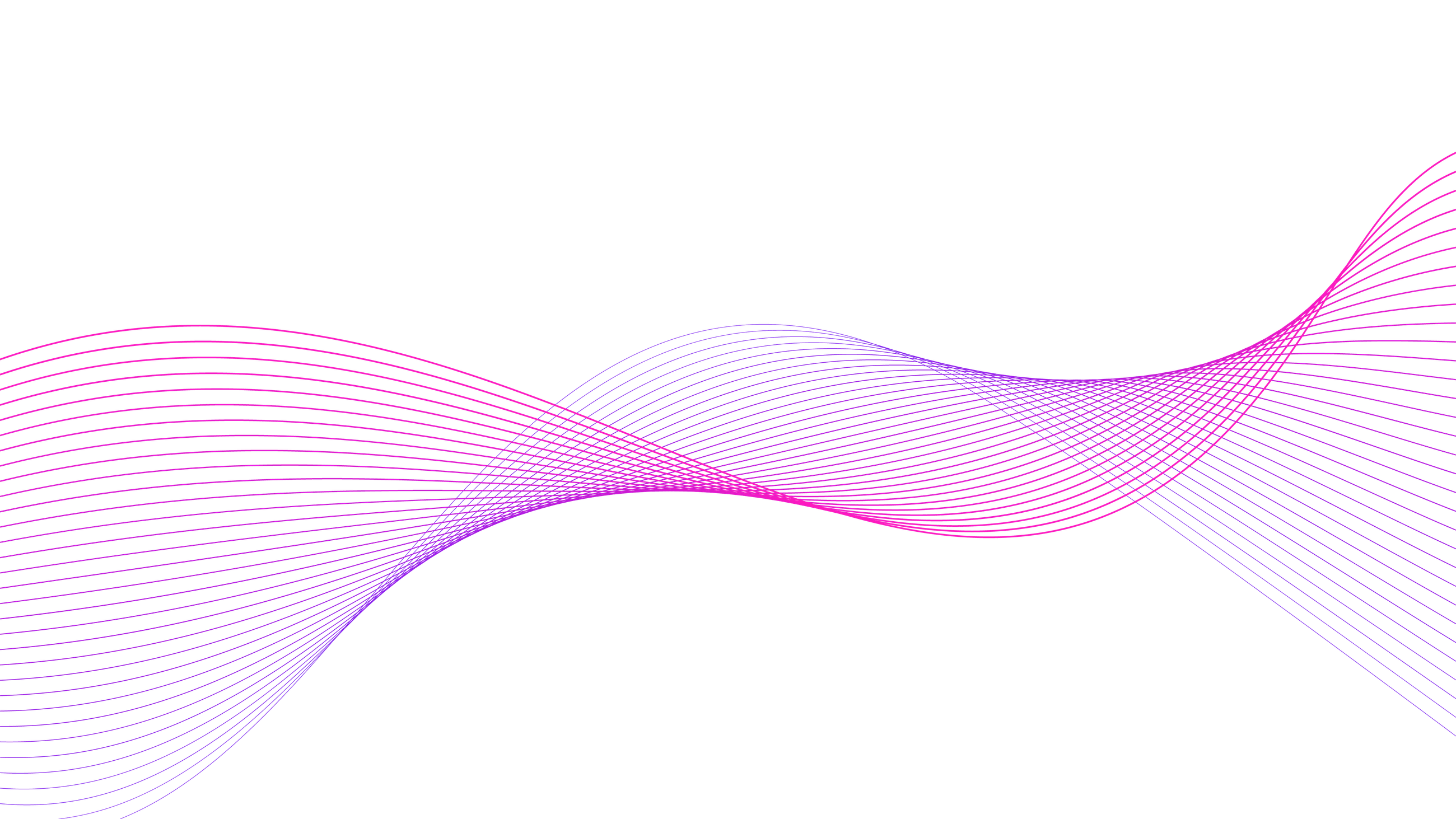 Abstract flowing wave made of intersecting magenta and purple lines on a black background.
