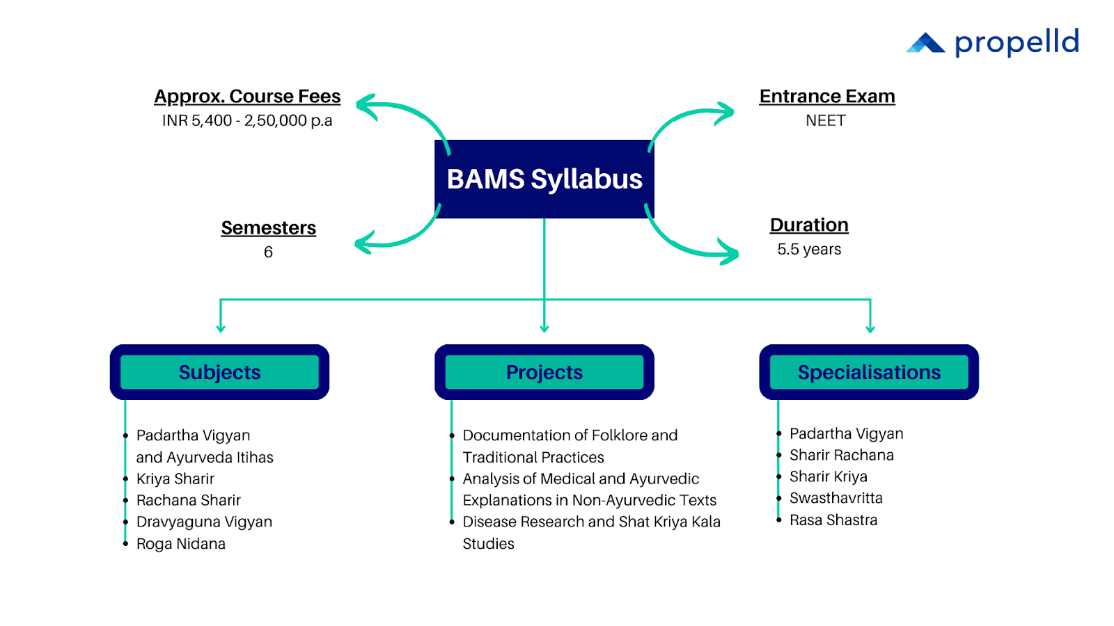 BAMS Syllabus overview showing course details, subjects, and specializations