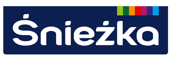 2020INC logo