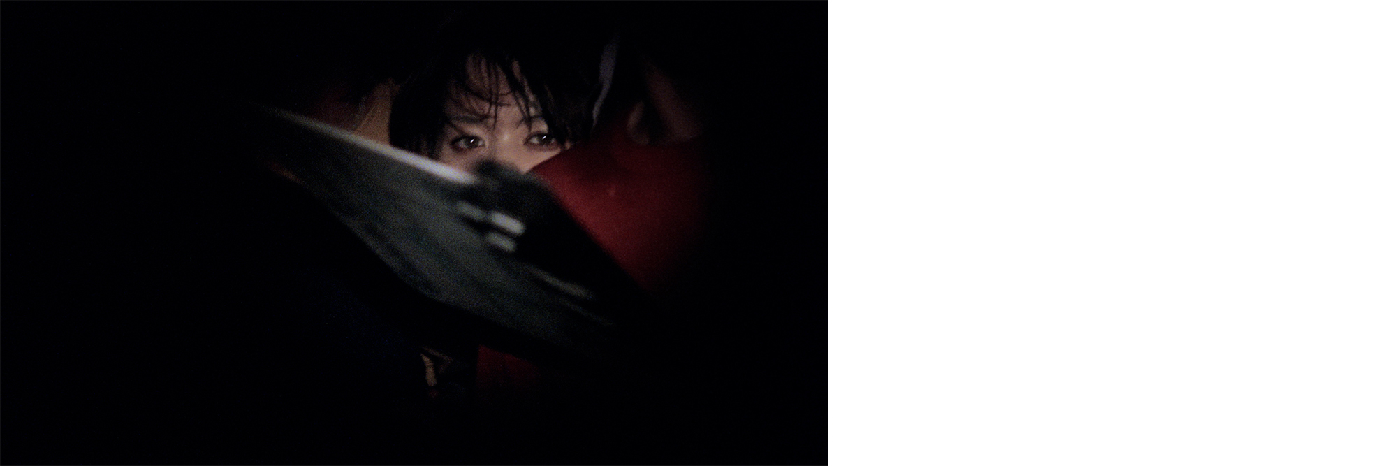Film / video package 2