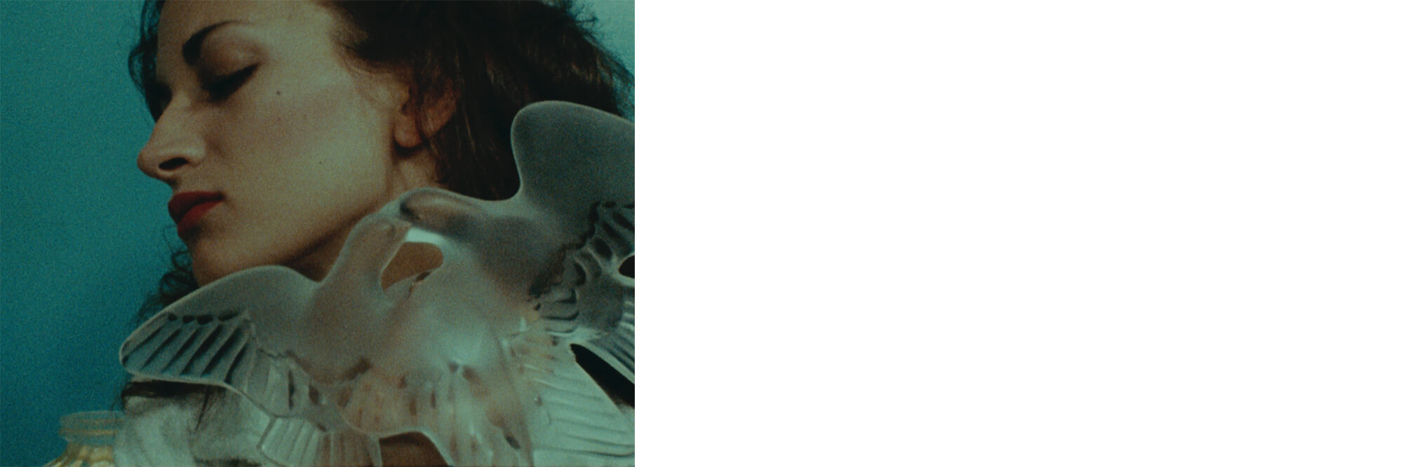 Film / video package 6 