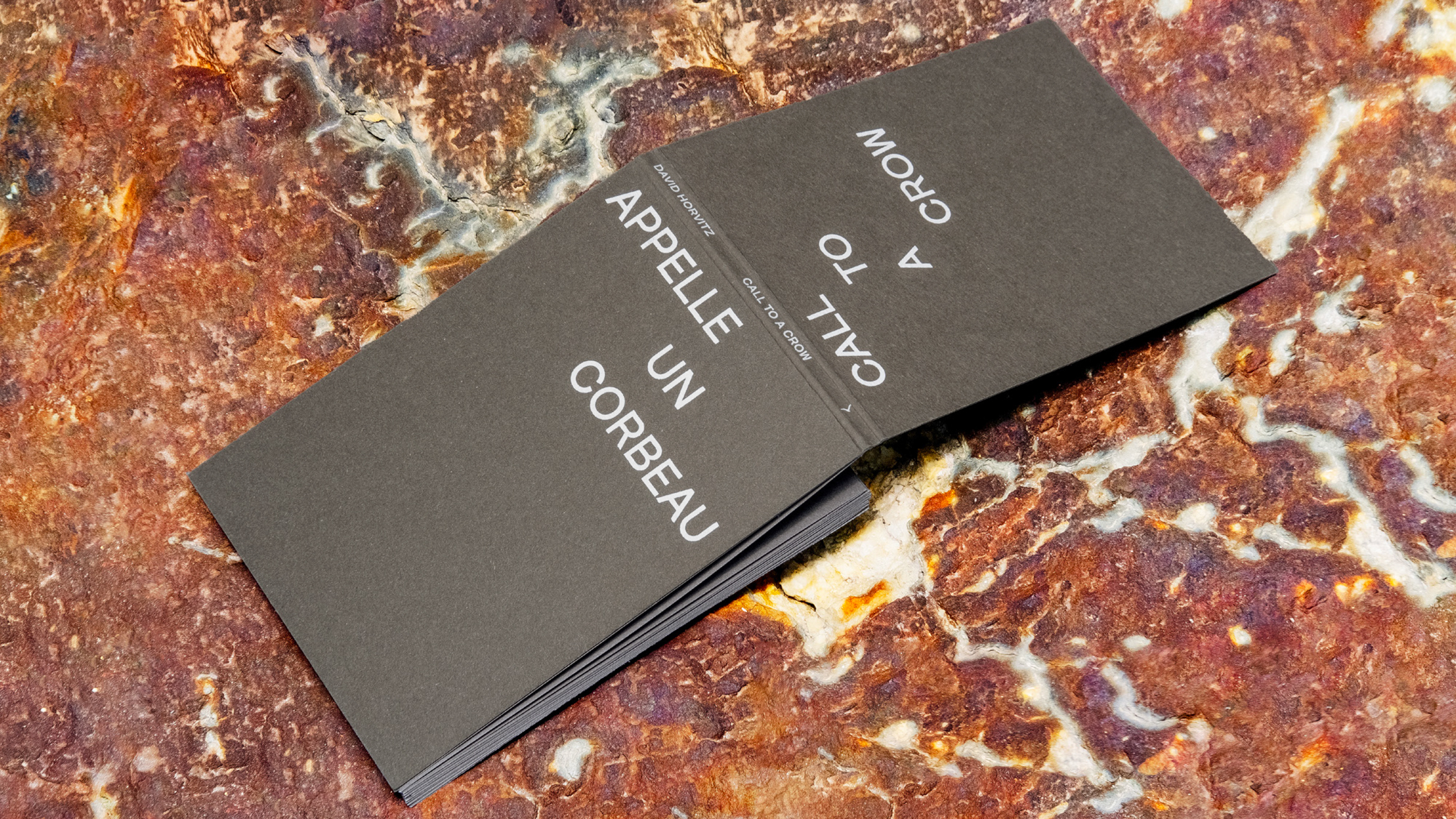 CALL TO A CROW - APPELLE UN CORBEAU, 2024