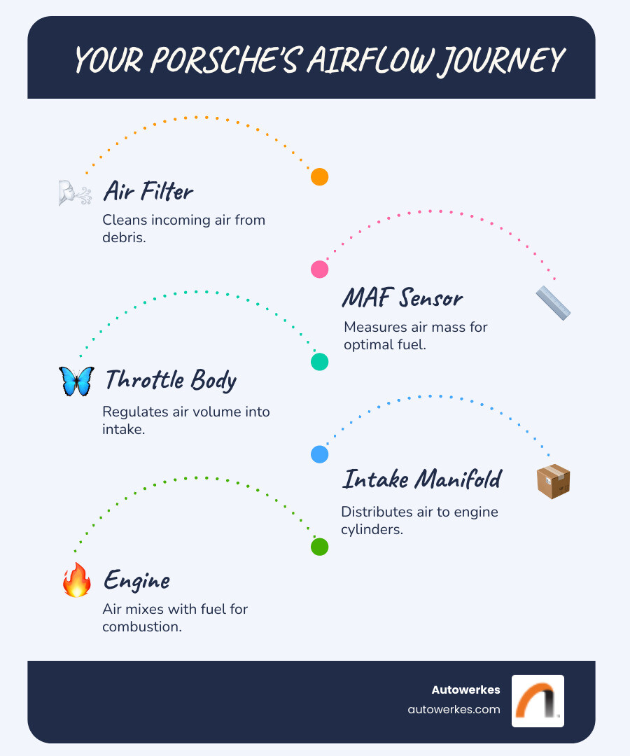 Infographic explaining the path of air from the air filter, past the MAF sensor, through the throttle body, and into the intake manifold of a Porsche engine. - Porsche throttle body cleaning infographic infographic-line-5-steps-blues-accent_colors