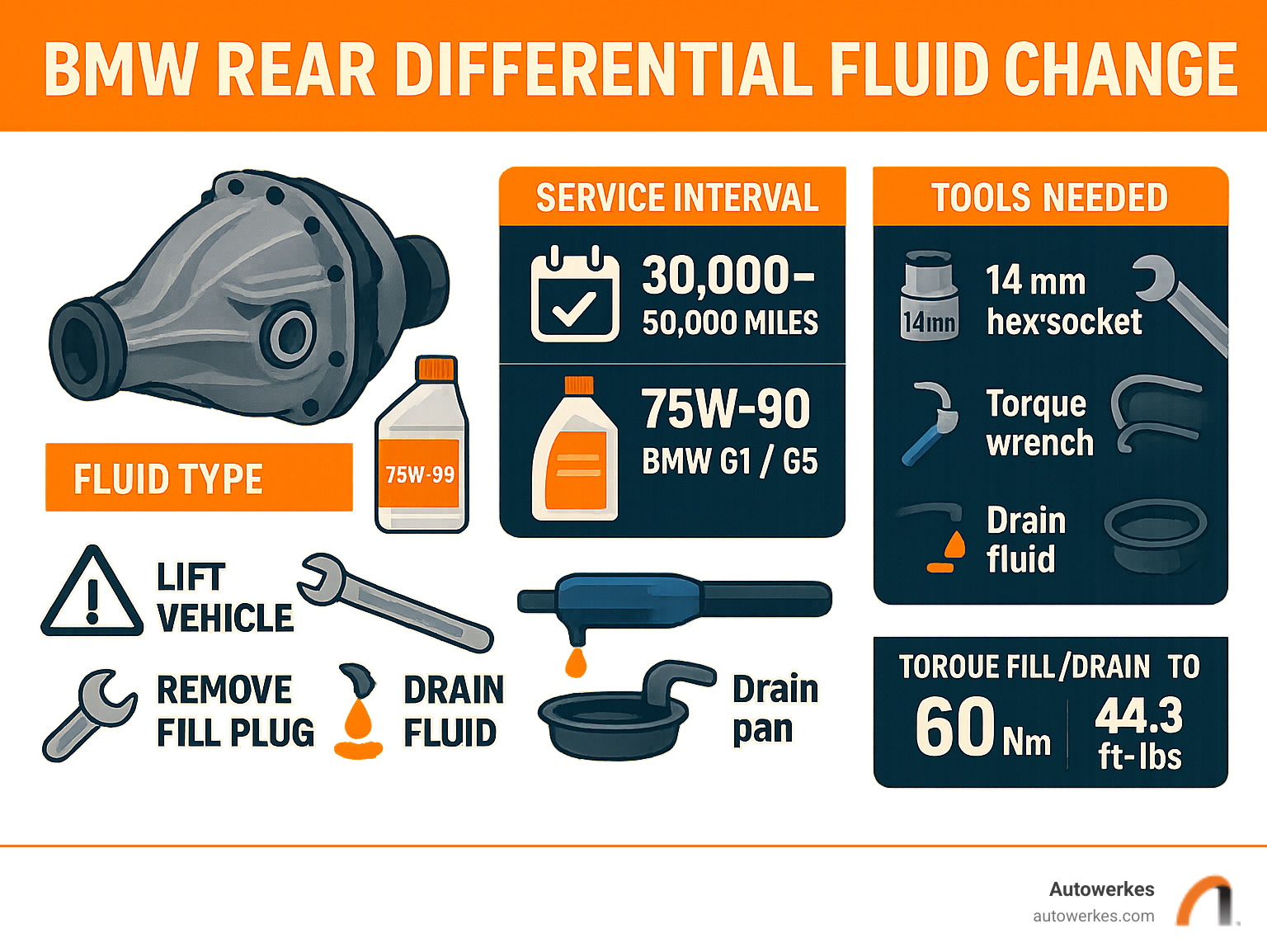 Infographic showing BMW differential fluid change intervals, tools required, fluid specifications, and step-by-step process including safety precautions and torque specifications - BMW rear differential fluid change infographic 