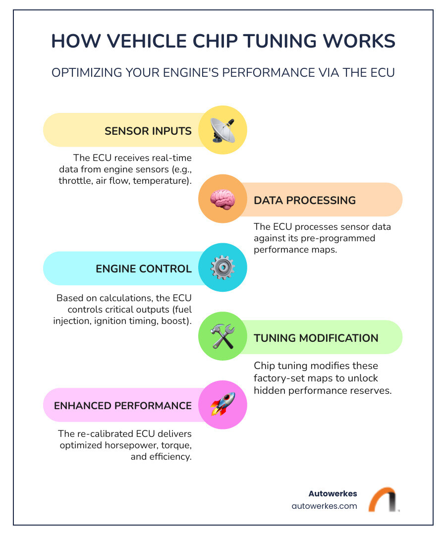Detailed infographic showing how vehicle chip tuning works: ECU receives inputs from sensors like throttle position, air flow, and engine temperature, then controls outputs including fuel injection timing, ignition timing, and turbo boost pressure, with arrows showing data flow and modification points where tuning adjustments are made - vehicle chip tuning infographic infographic-line-5-steps-colors