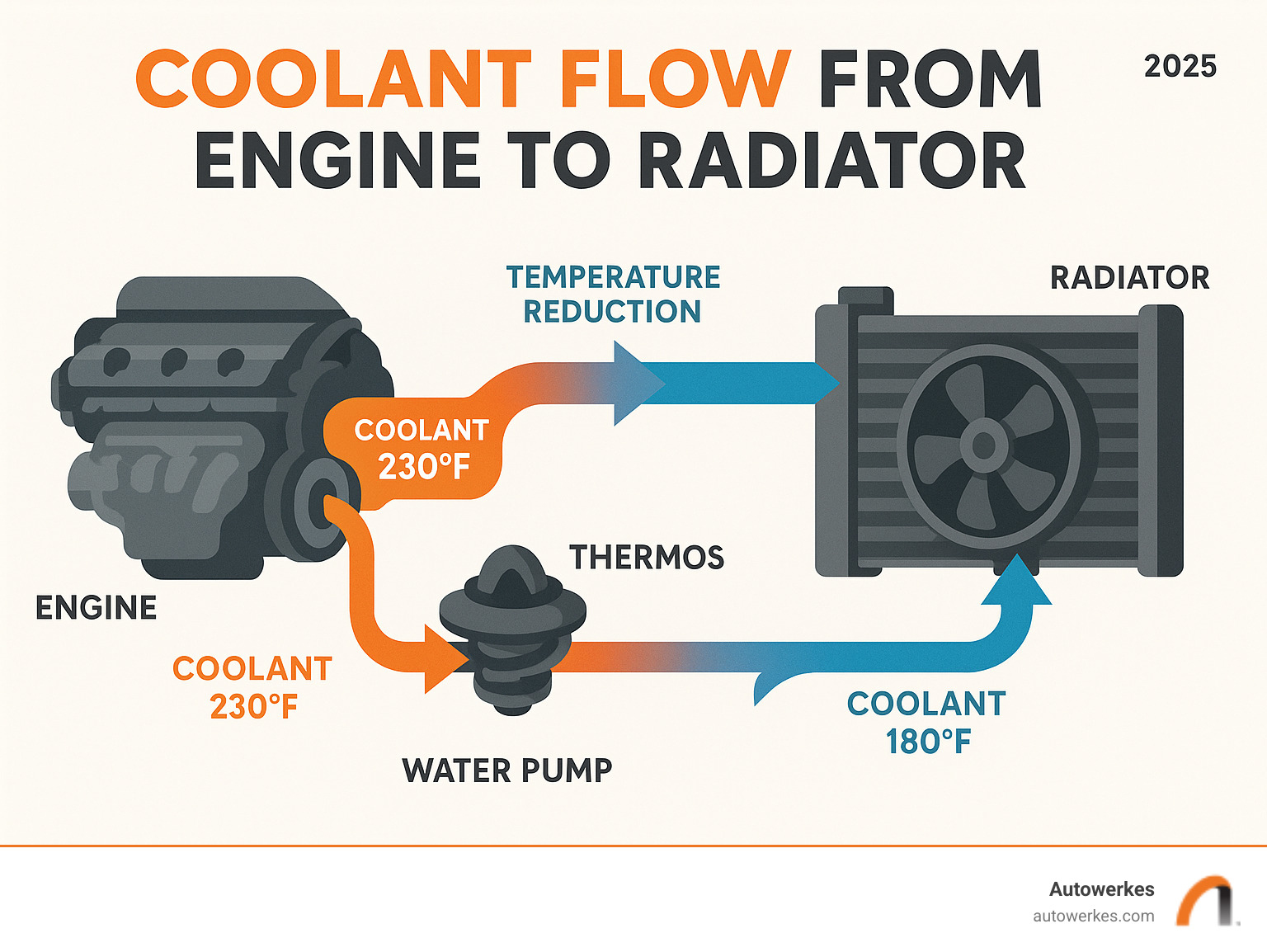 Detailed infographic showing coolant flow from engine to radiator, highlighting temperature reduction process and key components like water pump, thermostat, and cooling fan in a MINI Cooper cooling system - mini cooper radiator repair infographic 
