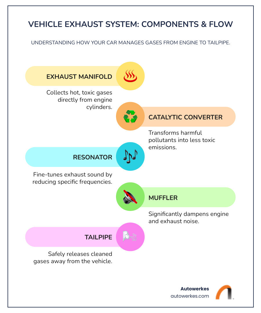 Infographic showing the main components of a vehicle's exhaust system from engine to tailpipe: exhaust manifold (collects gases from engine cylinders), catalytic converter (converts harmful gases to less toxic emissions), resonator (reduces sound frequencies), muffler (dampens exhaust noise), and tailpipe (releases cleaned gases). Arrows show the flow direction of exhaust gases through each component. - used exhaust parts infographic infographic-line-5-steps-colors