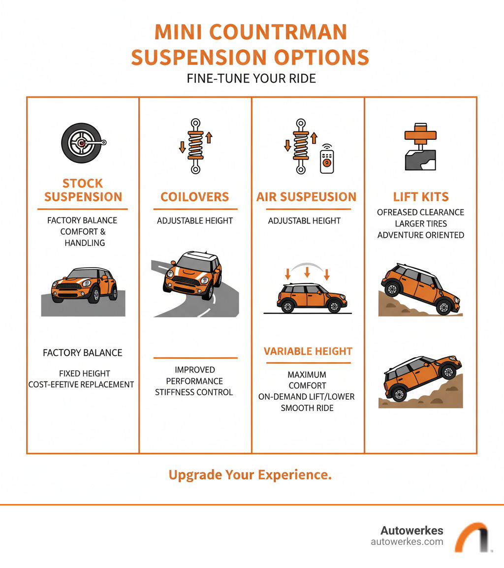 Infographic explaining core differences between stock suspension, coilovers, air suspension, and lift kits - Mini Cooper Countryman suspension infographic 