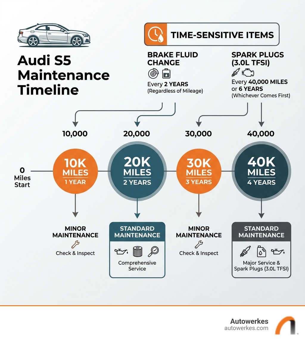 Infographic showing Audi S5 maintenance timeline with Minor Maintenance at 10,000 miles/1 year and 30,000 miles, Standard Maintenance at 20,000 miles/2 years and 40,000 miles, plus time-sensitive items like brake fluid every 2 years and spark plugs at 40,000 miles or 6 years for 3.0L TFSI engines - audi s5 maintenance schedule infographic Infographic showing Audi S5 maintenance timeline with Minor Maintenance at 10,000 miles/1 year and 30,000 miles, Standard Maintenance at 20,000 miles/2 years and 40,000 miles, plus time-sensitive items like brake fluid every 2 years and spark plugs at 40,000 miles or 6 years for 3.0L TFSI engines - audi s5 maintenance schedule infographic