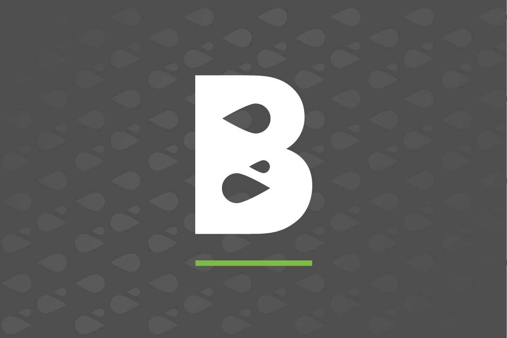 brighton plumbing logo