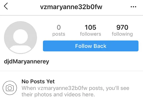 IG ghost follower.png