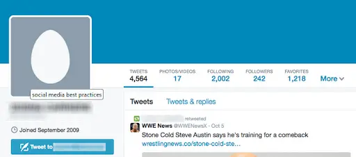 twitter page.png